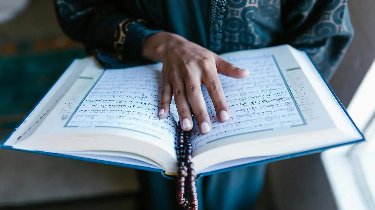 fe9bb827-232f-4d8f-80ee-5f90fc764804