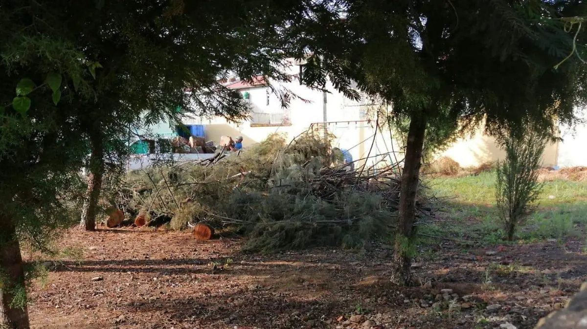 6c480cf1-e565-4722-a6d4-aef532c07270