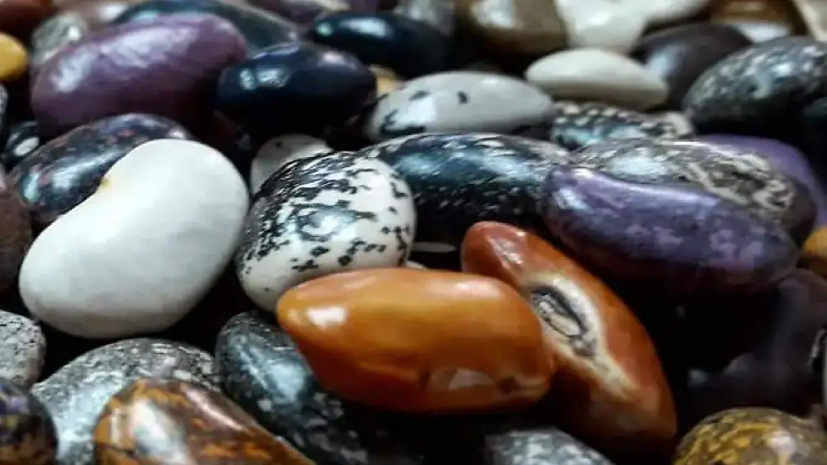 WhatsApp_Image_2023-04-13_at_13.08.12__3_