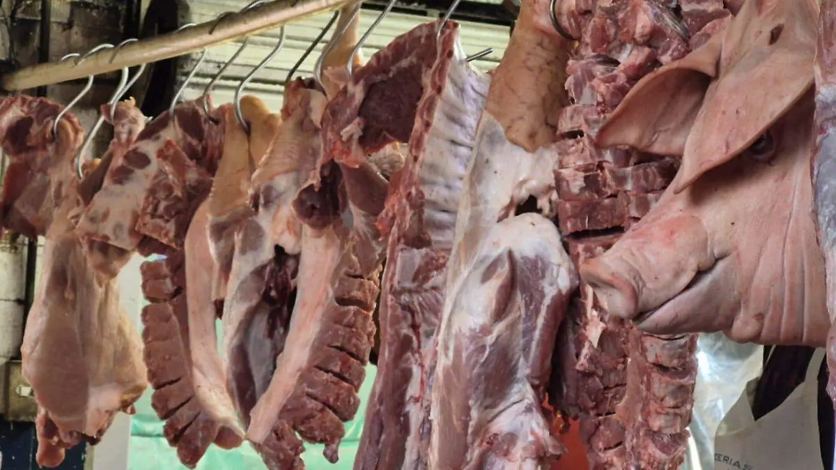 WhatsApp Image 2025-12-24 at 4.23.22 PM