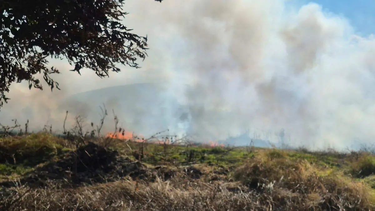 3318de58-2dbd-4f90-badf-45c96027bf3d