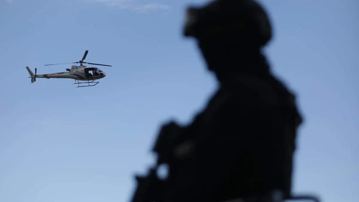 d007f60c-3074-47c3-adf2-dd056711fd6f