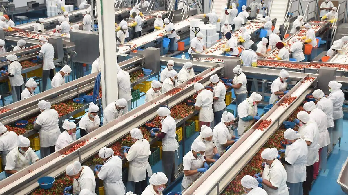 Personas laborando en una empresa
