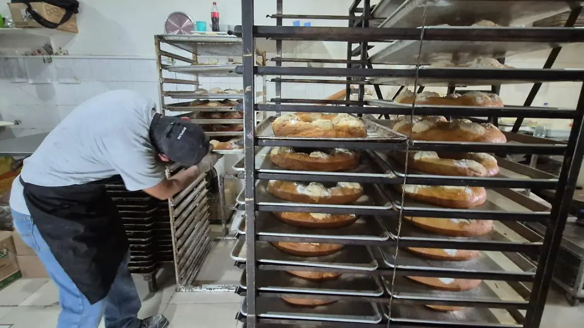 WhatsApp Image 2026-01-04 at 12.37.15 PM (2)