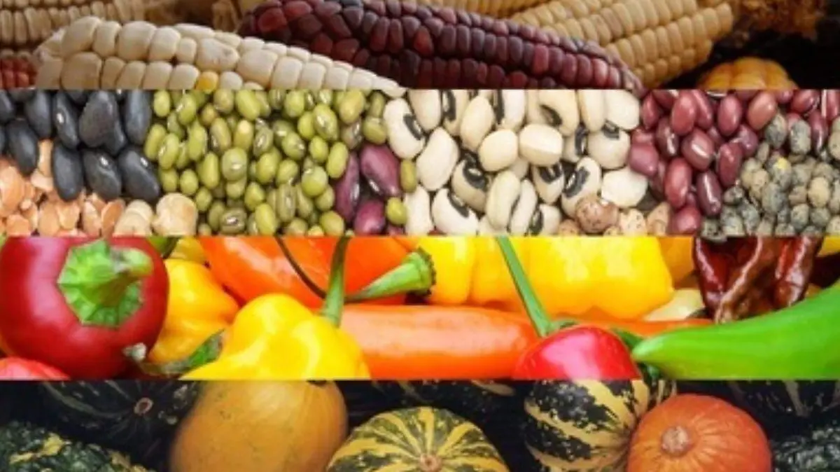 Dieta de la milpa Gobierno de México