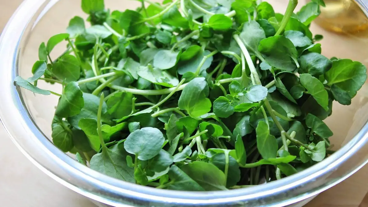 514489114_24245550911706347_3111450783811540020_n