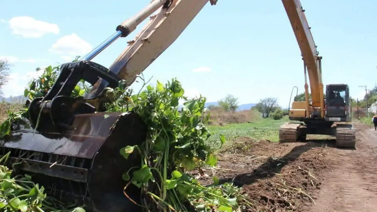 FB_IMG_1768667482911