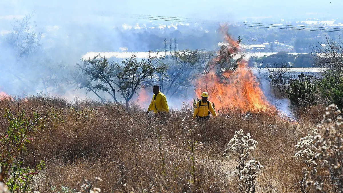 Bomberos controlan quema de pastizal