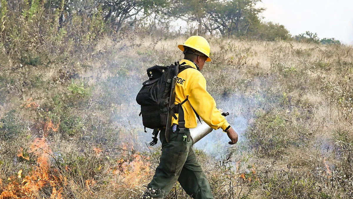 Bomberos controlan quema de pastizal