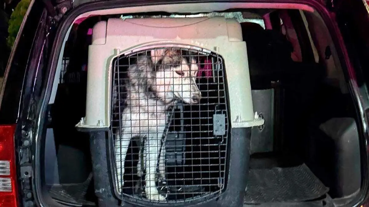 0104c555-1ef5-49a1-84fd-5b5c9411f442