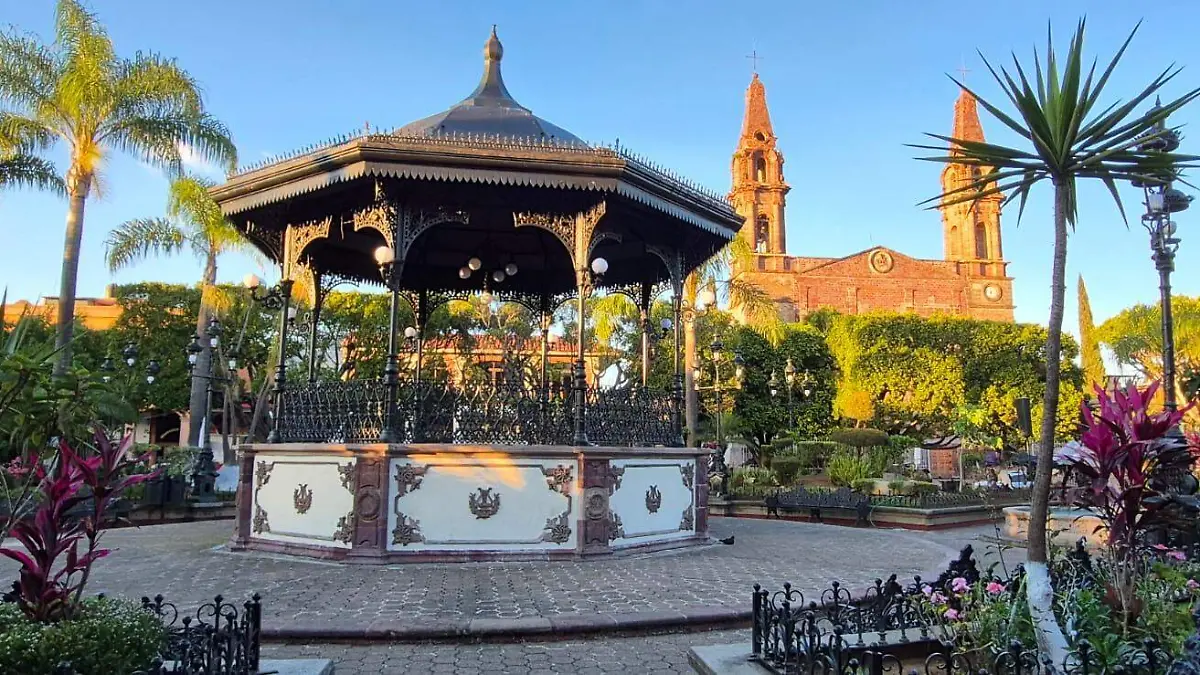 motion_photo_4666891292781729855