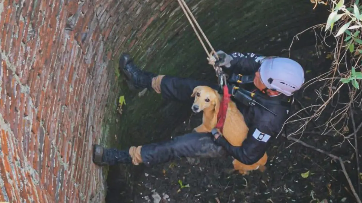 Captura de Pantalla 2026-01-29 a la(s) 17.34.03