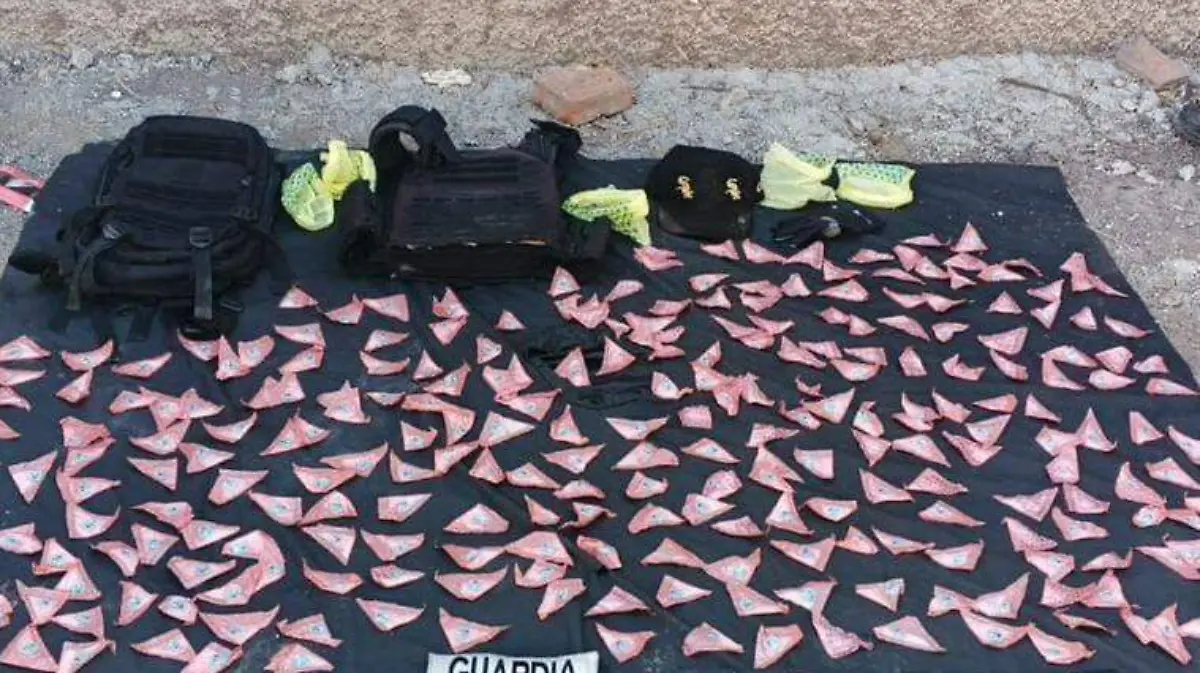 8813613e-072a-480e-9a2e-eb840d5a0a9a