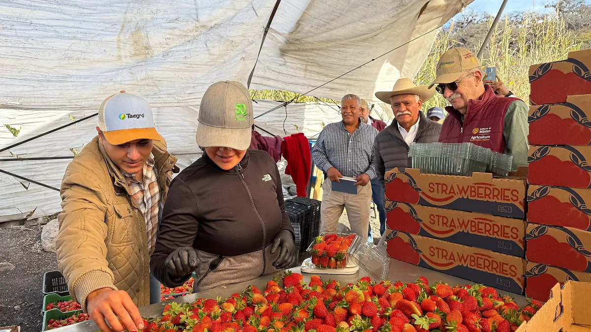 WhatsApp Image 2026-02-07 at 18.57.44