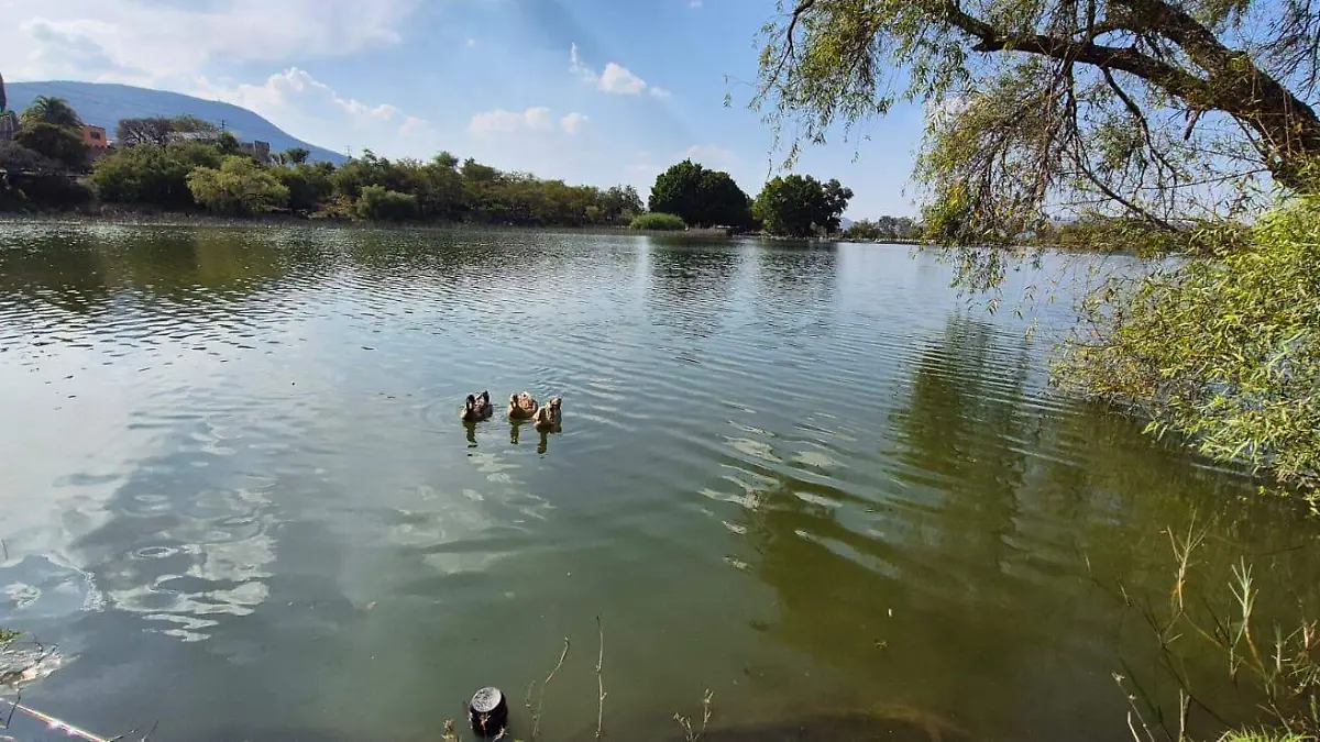Lago de Orandino