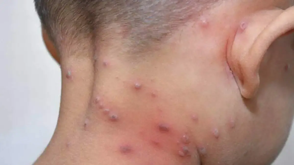 Captura de Pantalla 2026-02-11 a la(s) 16.44.12