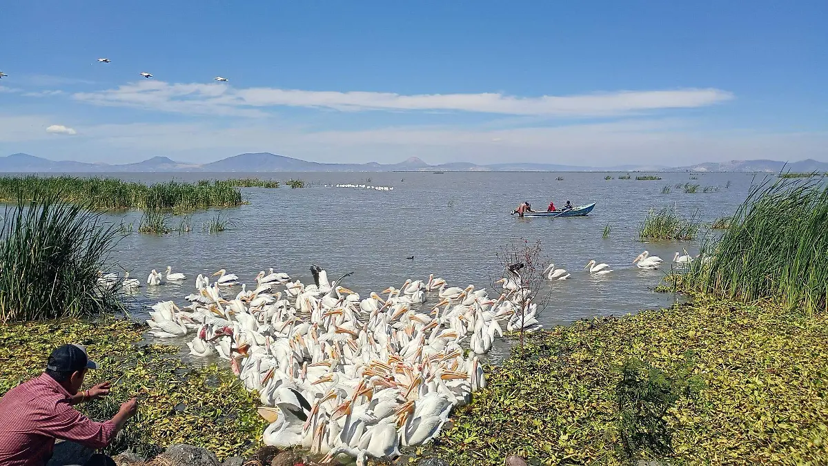 480271973_122210200424210843_2179335712566919892_n