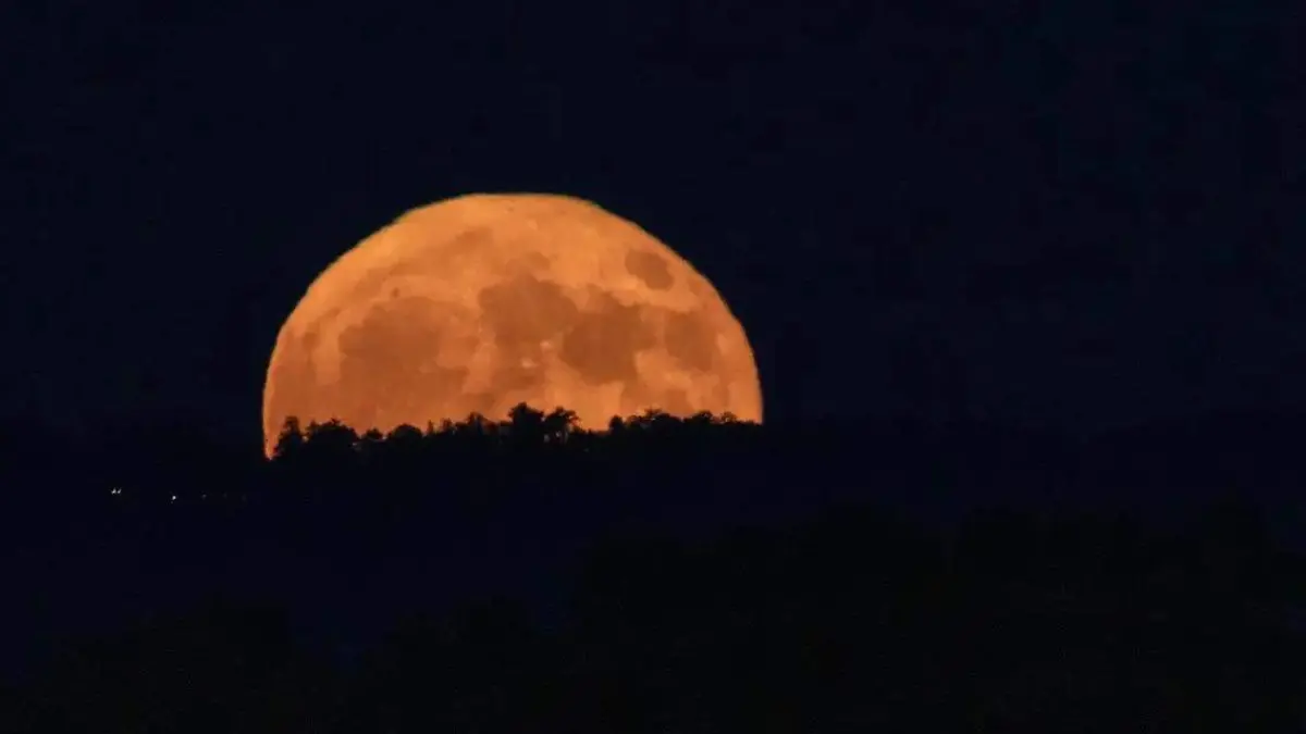 481680890_1183376356491072_6935452877529561497_n