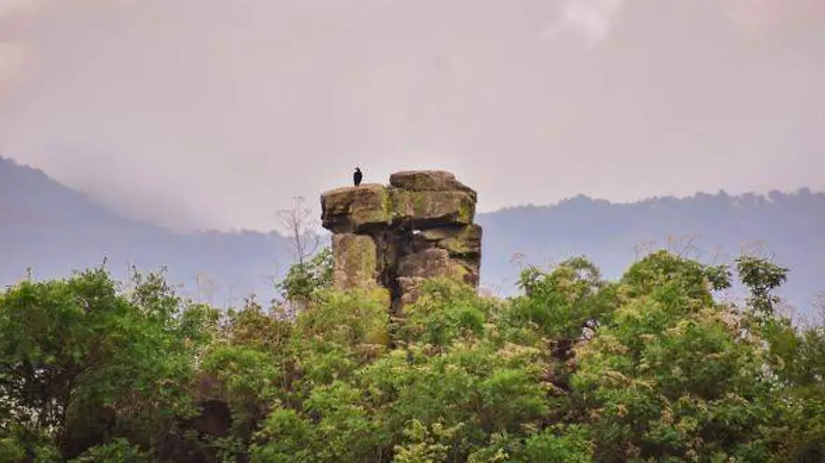 477165139_935207385445818_6389816429291952865_n