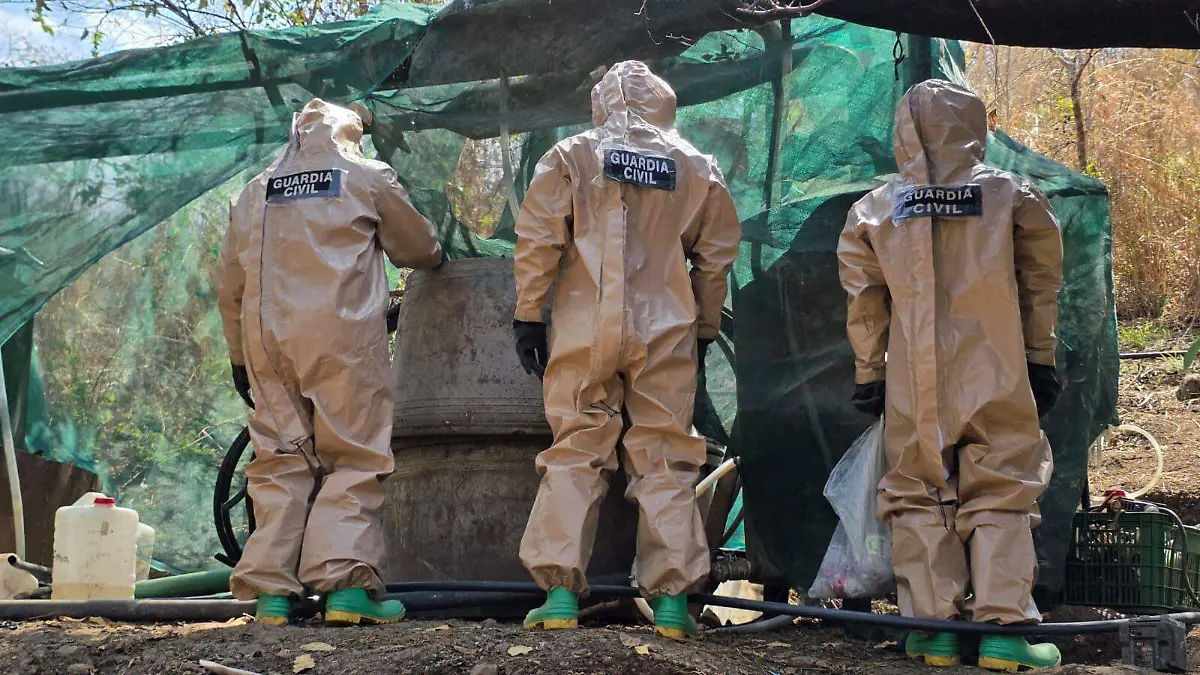 acdc5918-577d-4bcd-95d6-0f0f7cdd4e67