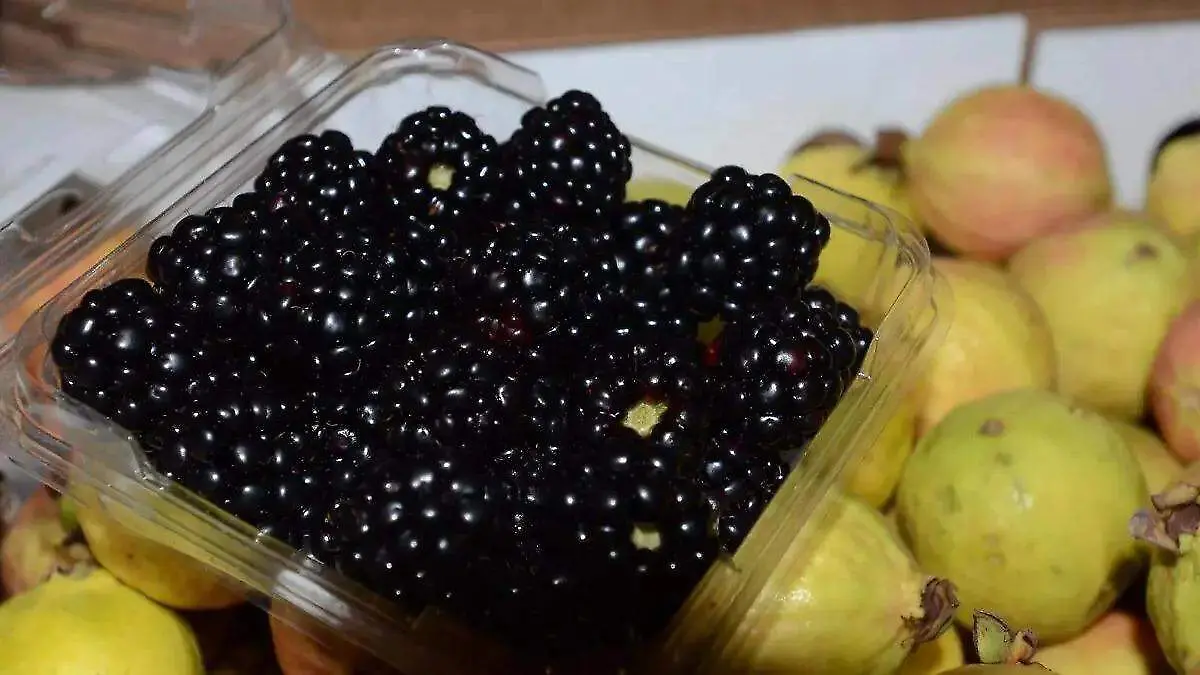 WhatsApp Image 2026-03-07 at 09.04.39