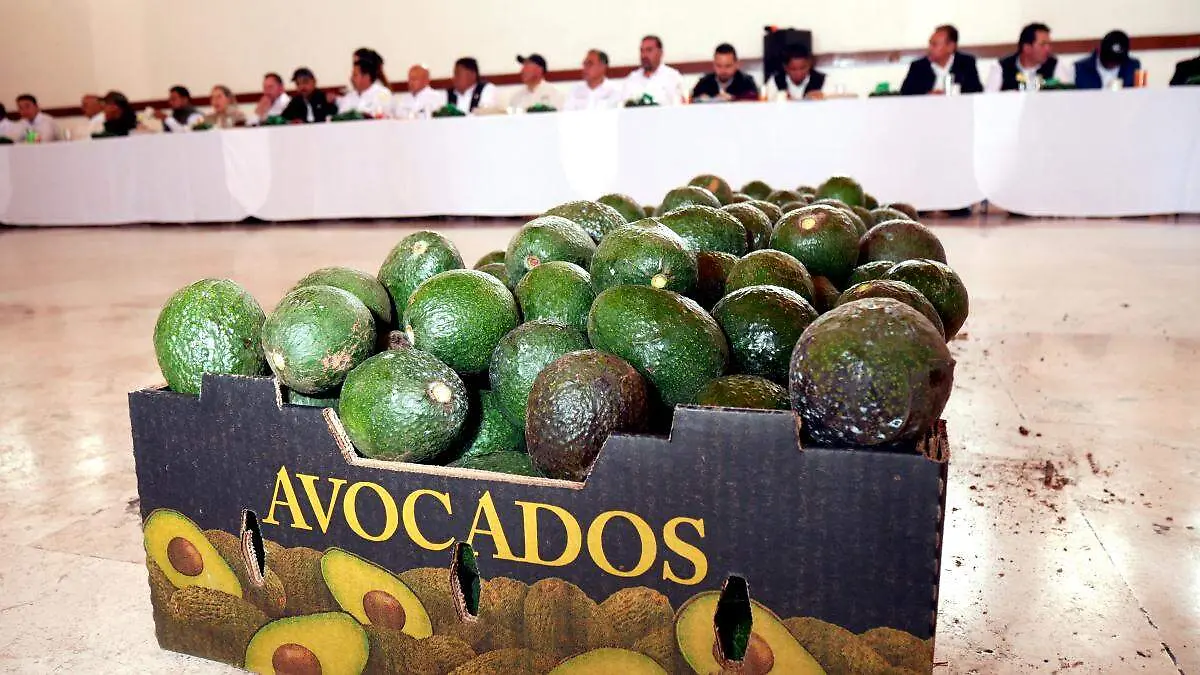 Caja de aguacates