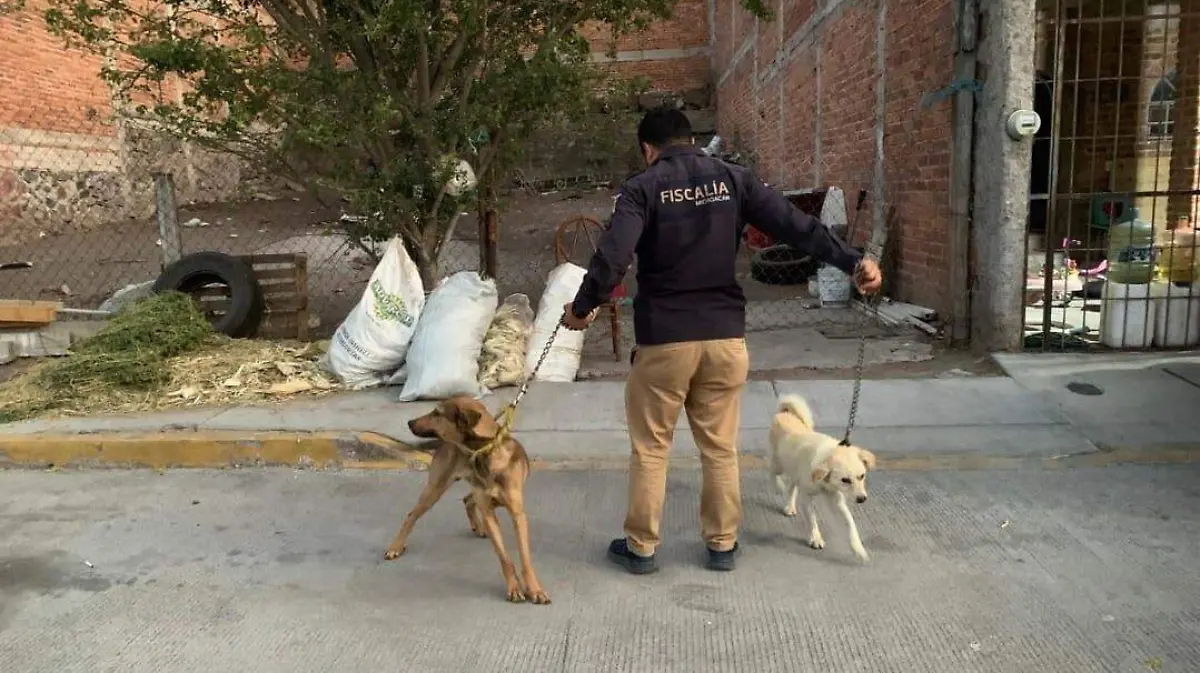 WhatsApp Image 2026-04-03 at 13.45.24