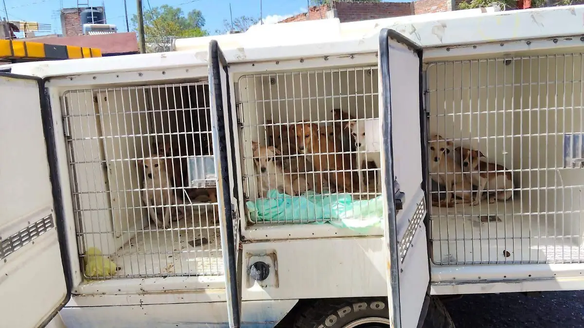 FB_IMG_1775881993423