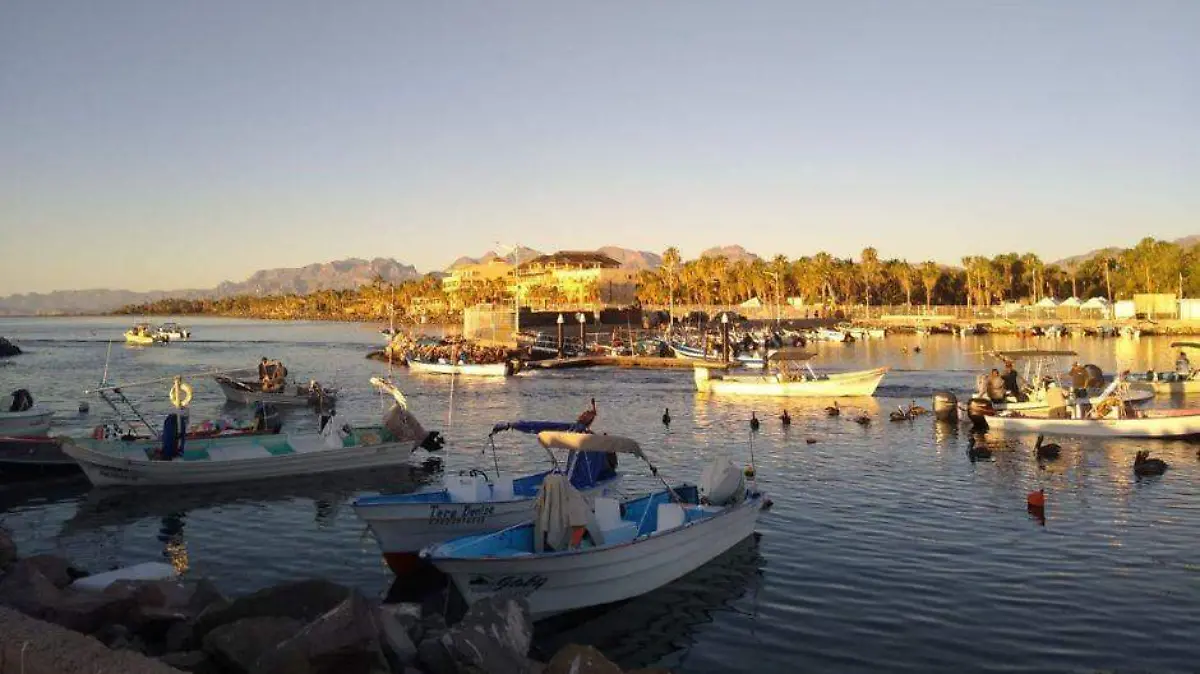 Torneo de Pesca Femenil de Loreto ofrece 200 mil pesos en premios