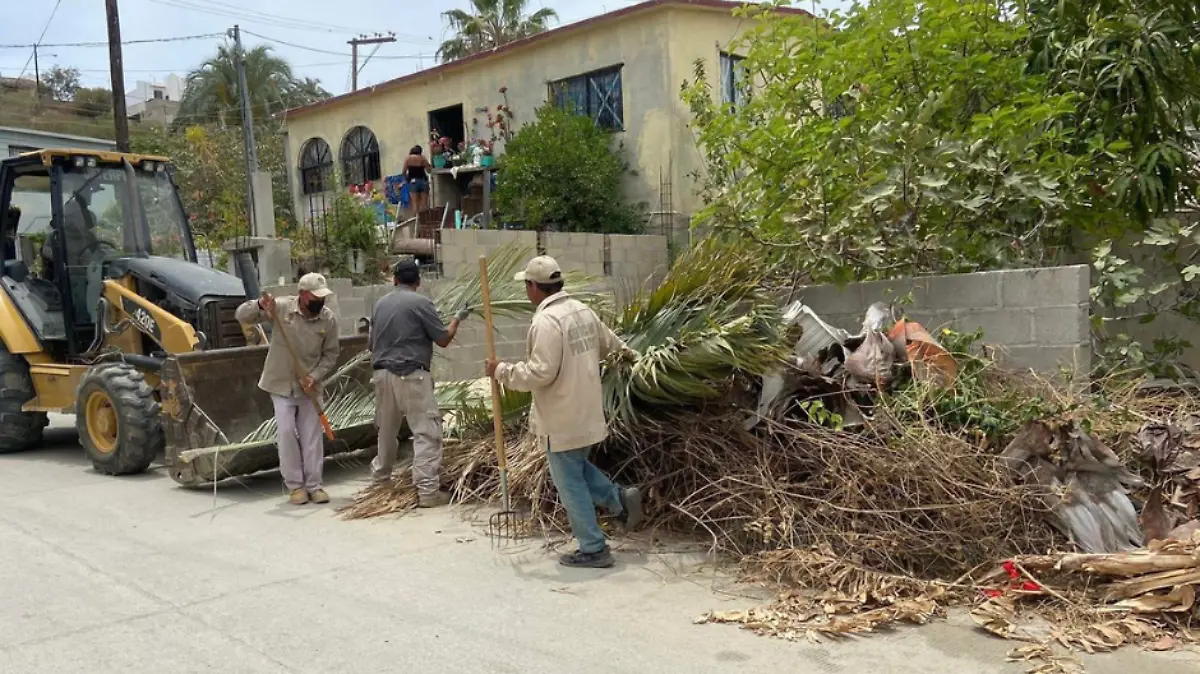 Jornada de limpieza los cabos