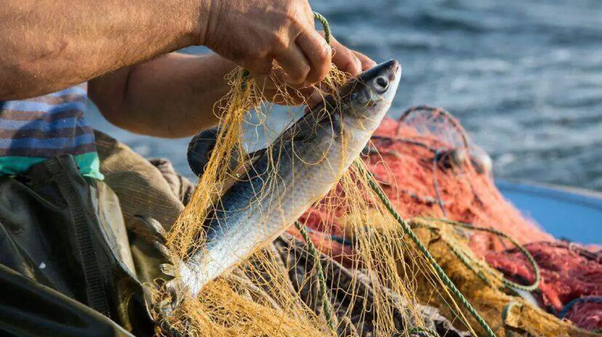Entregan apoyos y equipos a pescadores de Los Cabos