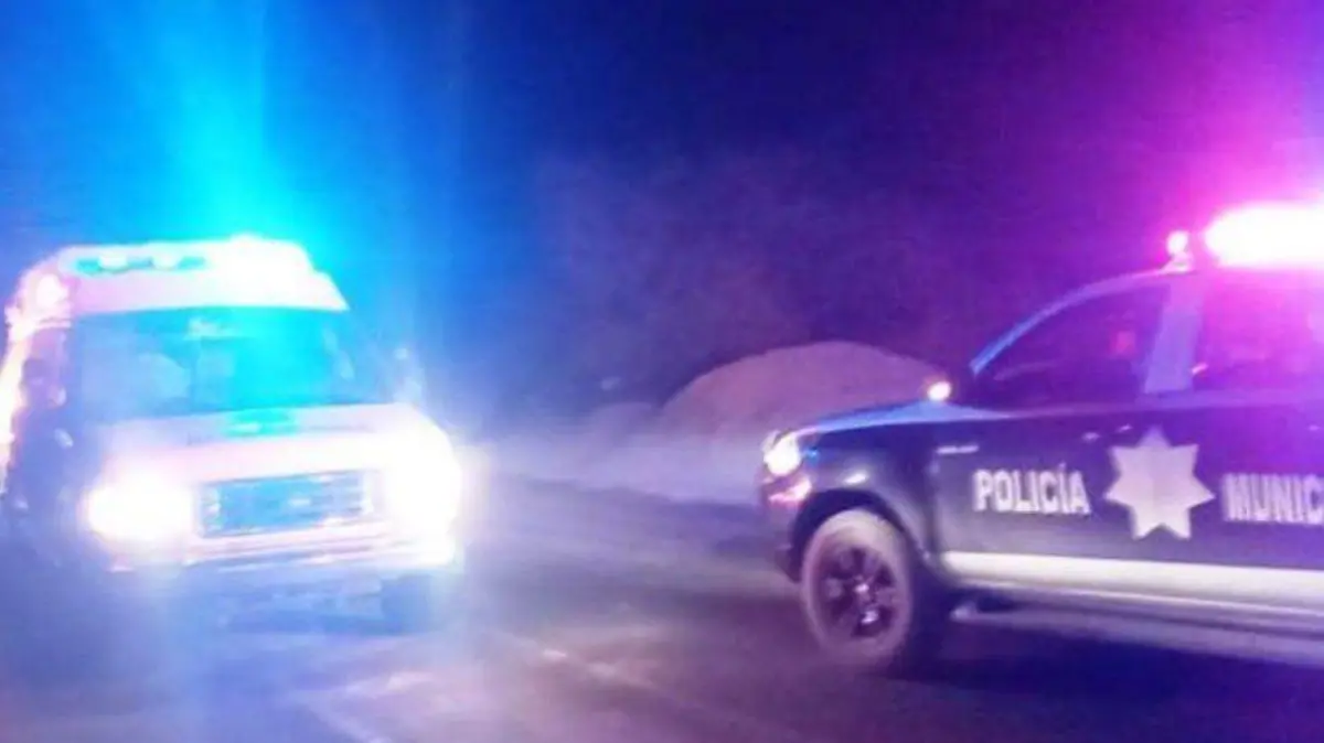 policiaca