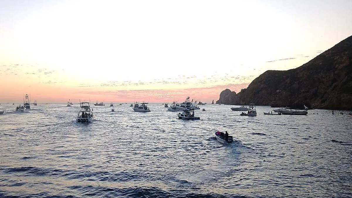Torneo de pesca Bisbee los cabos 1
