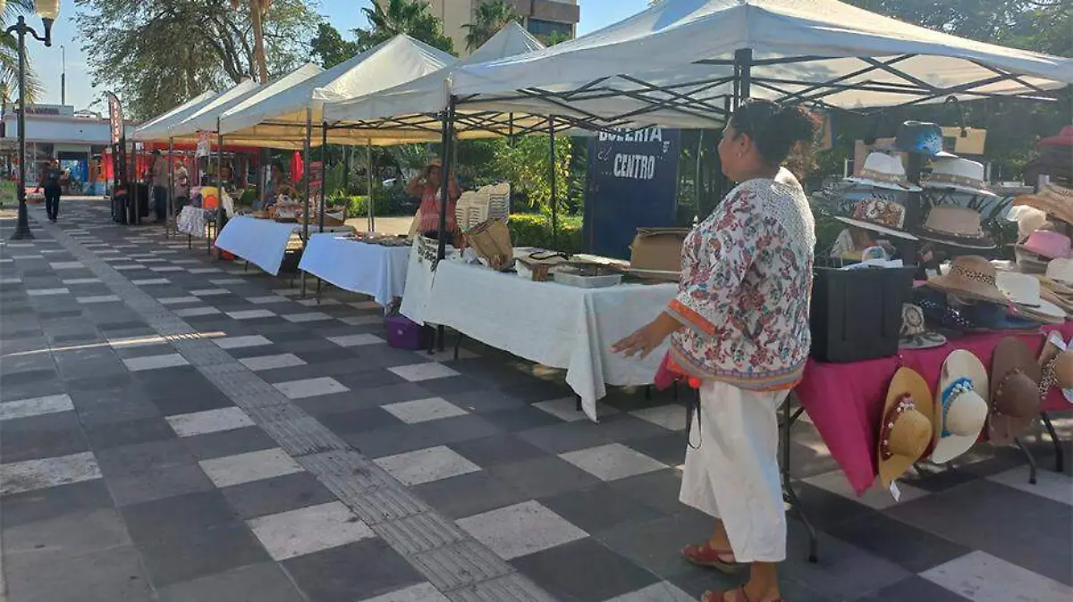 venta tanguis discapacidad 1