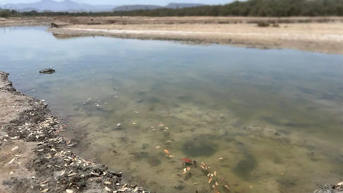 Contaminacion ensenada de la paz 1