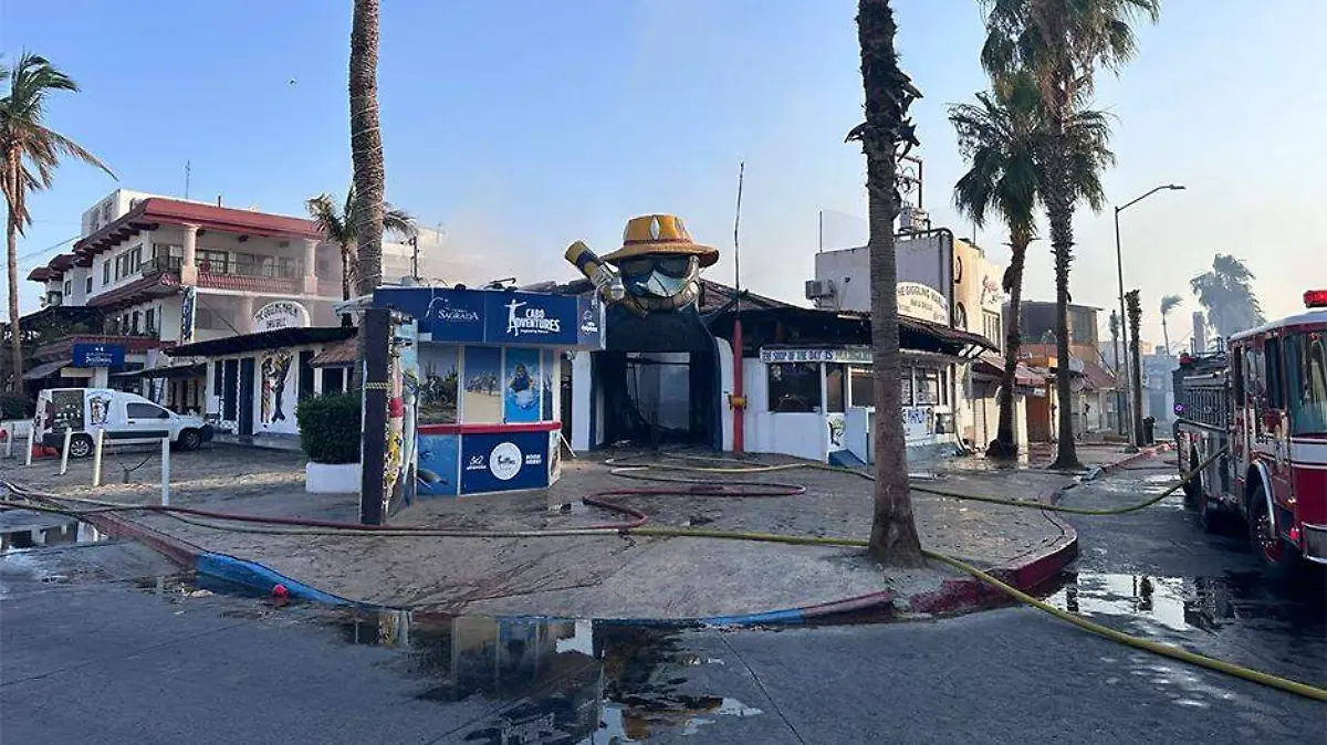 Incendio the giggling marlin 2