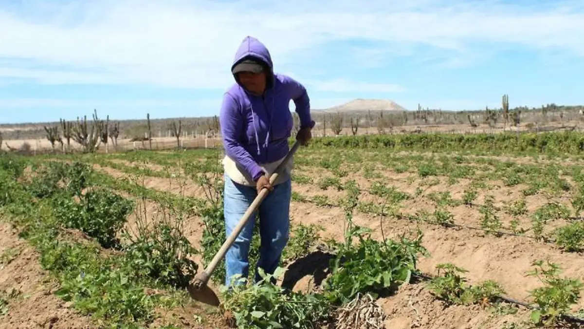 Foto - 2024-06-22T210552.945