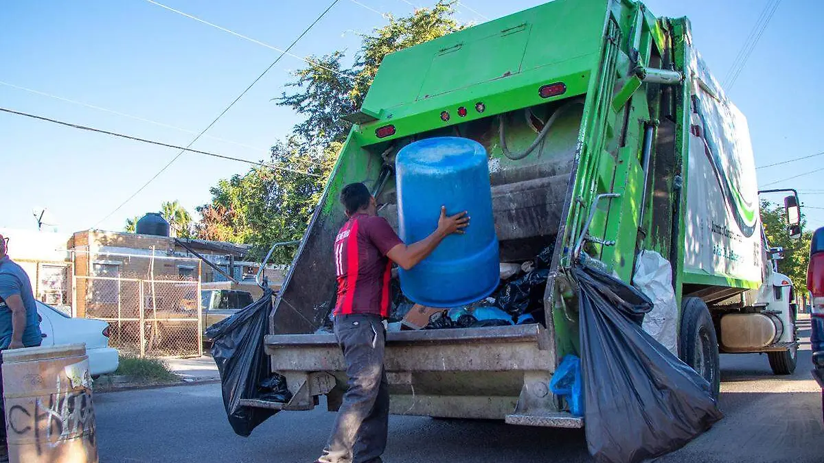 empleo tempora servicios la paz 2
