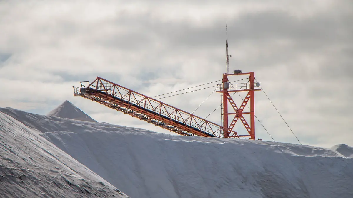 exportadora de sal en guerrero negro