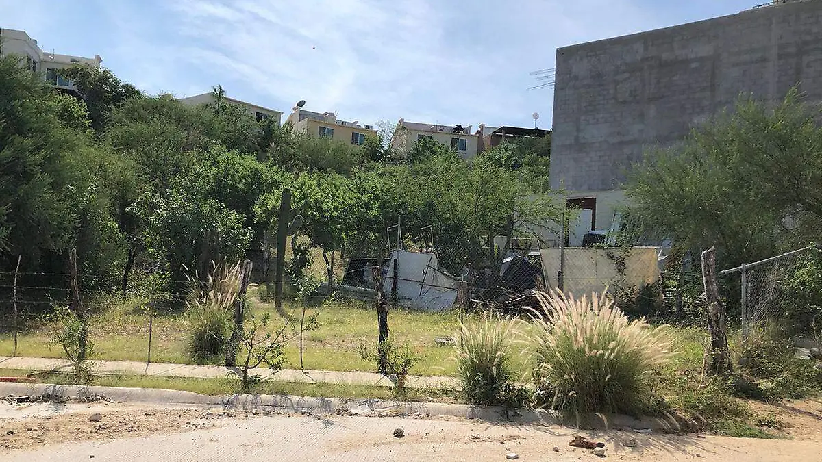 Area verde privada en los cabos 3
