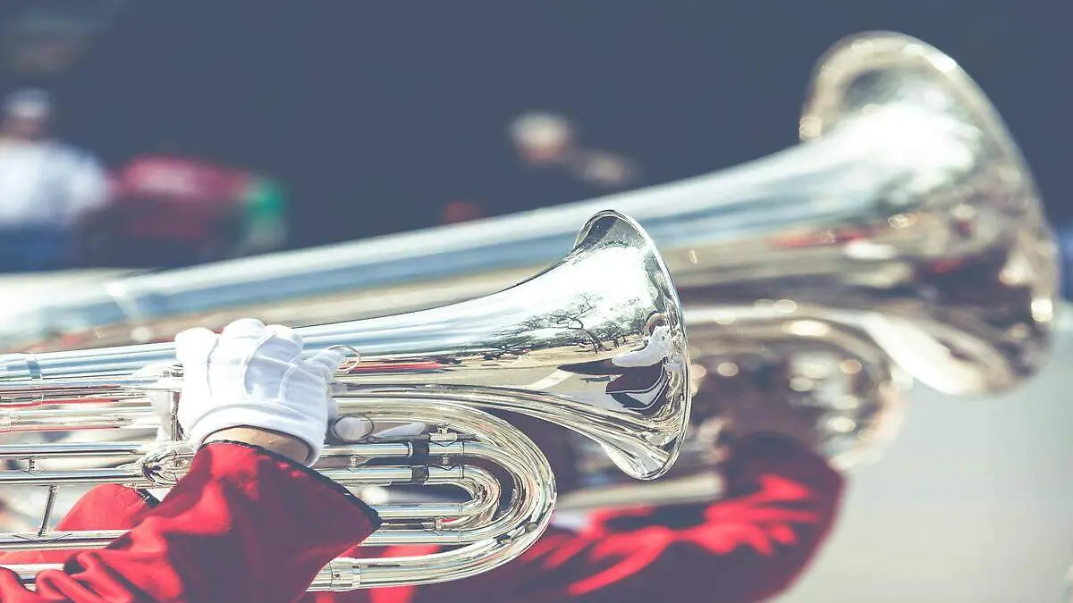 pexels-curiosophotography-343683 (1)