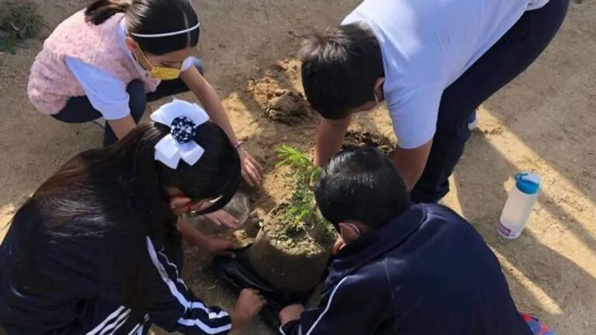 Reforestación en escuelas de Los Cabos
