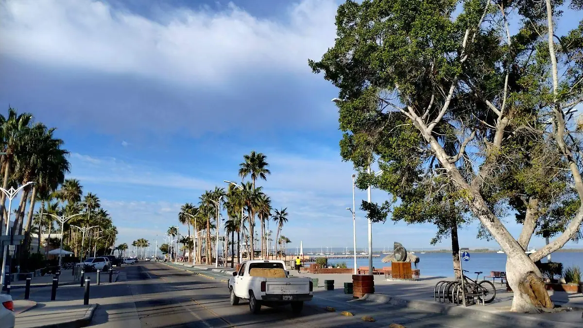 WhatsApp Image 2024-02-06 at 09.39.03