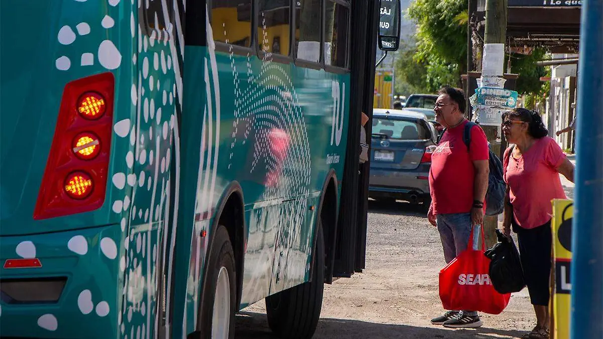 Tiburon urbano transporte la paz