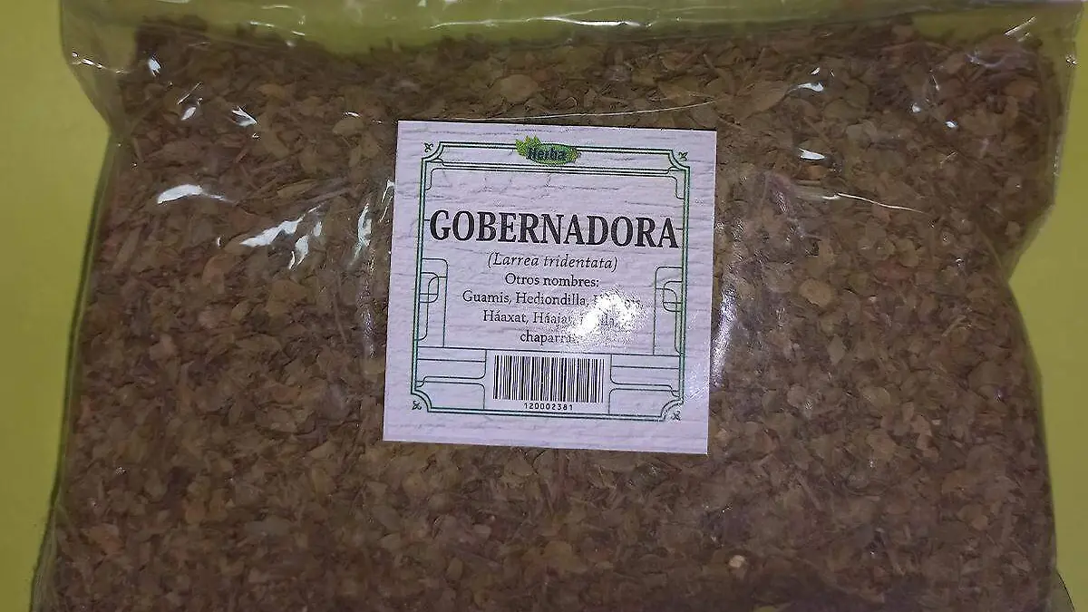 Planta gobernadora 1