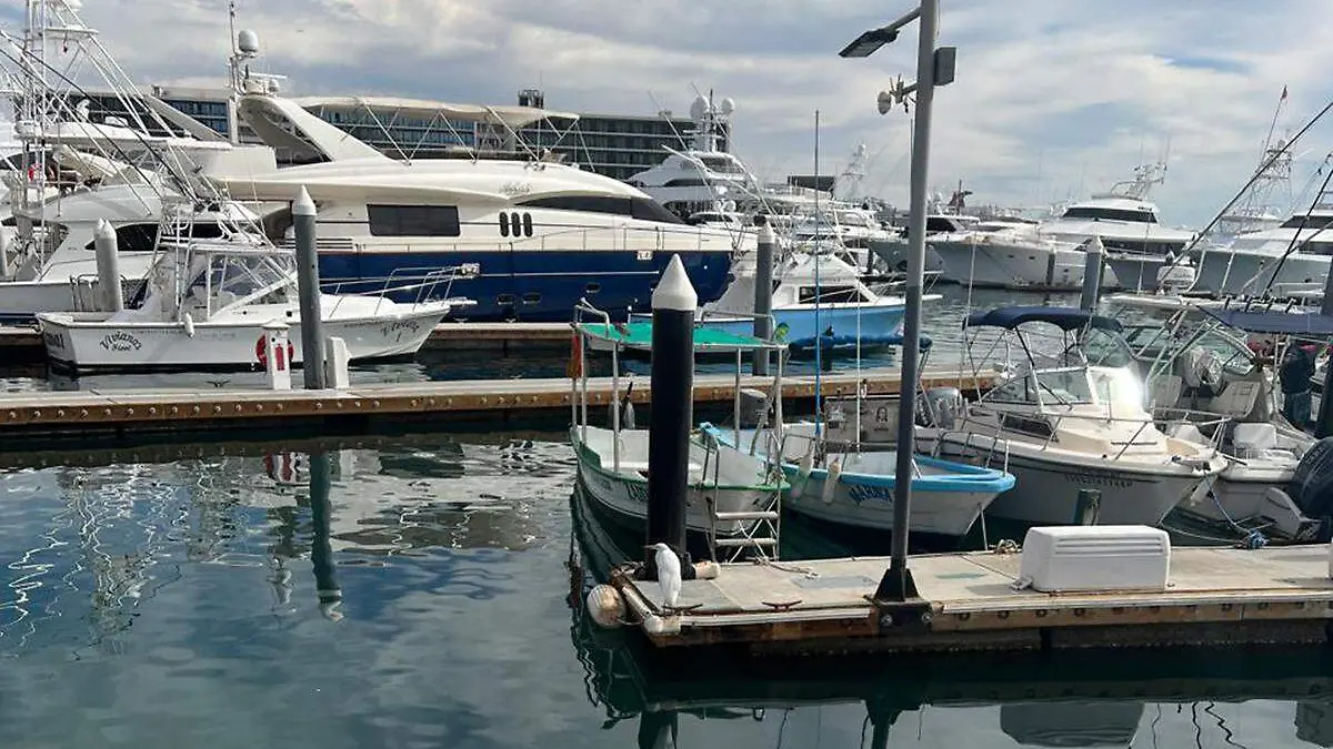Muelle puerto embarcaciones los cabos