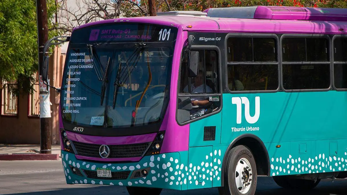 Tiburon urbano a clinica 40 imss