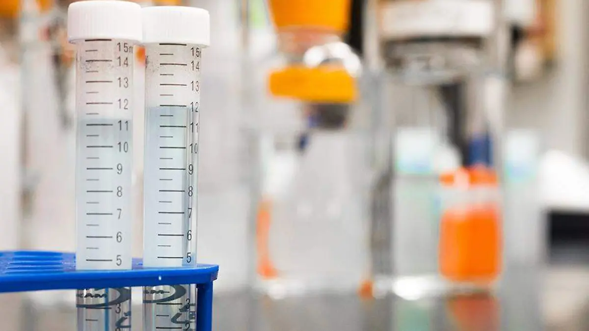 lab