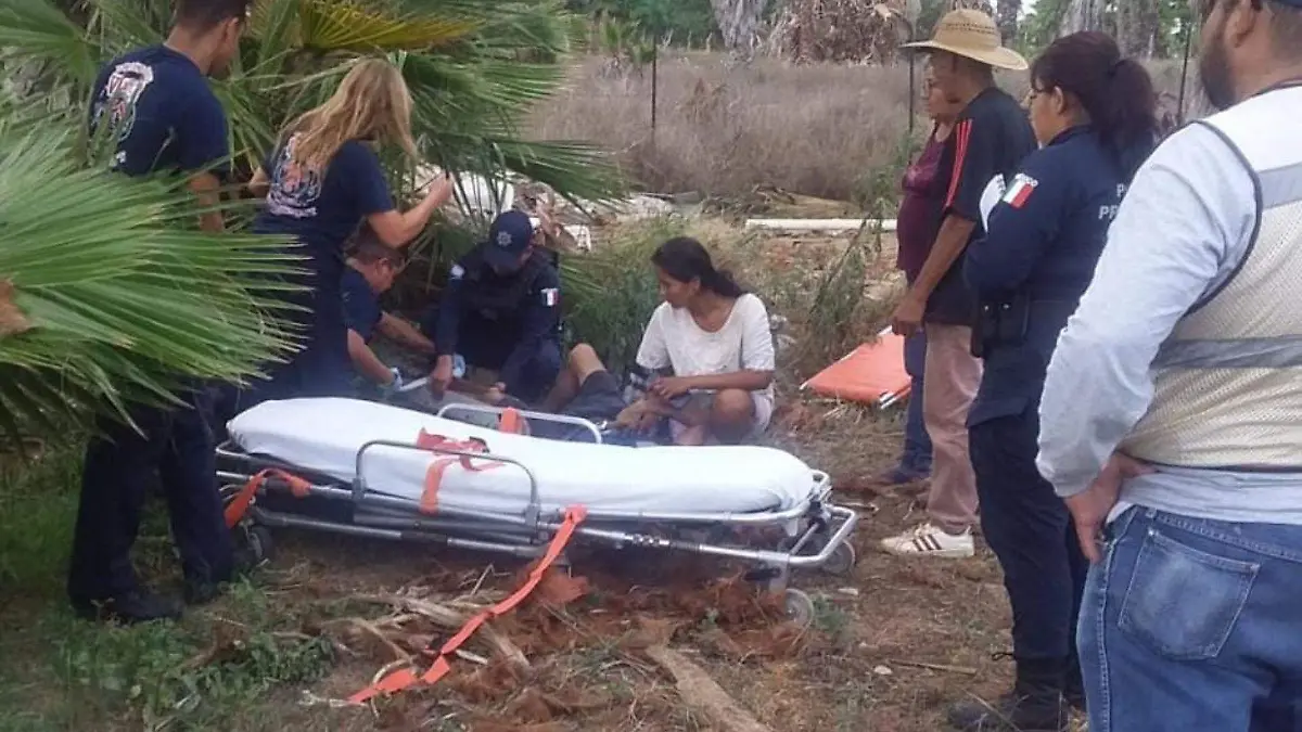Hombre cae de una palma