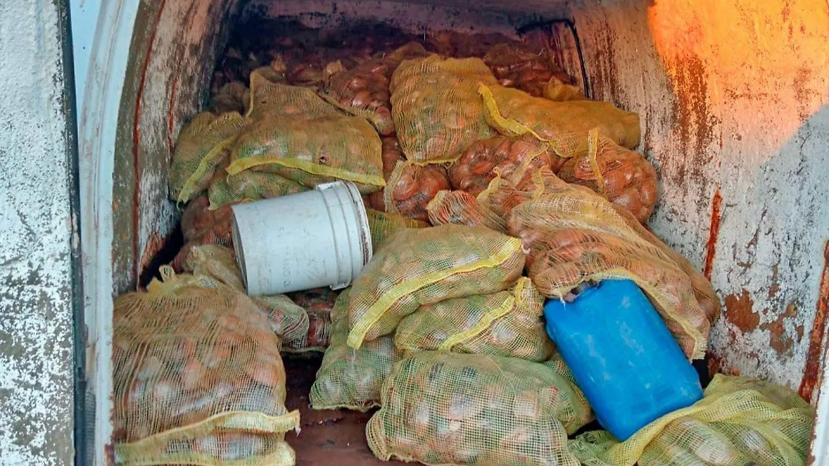 Aseguran almeja en Comondú